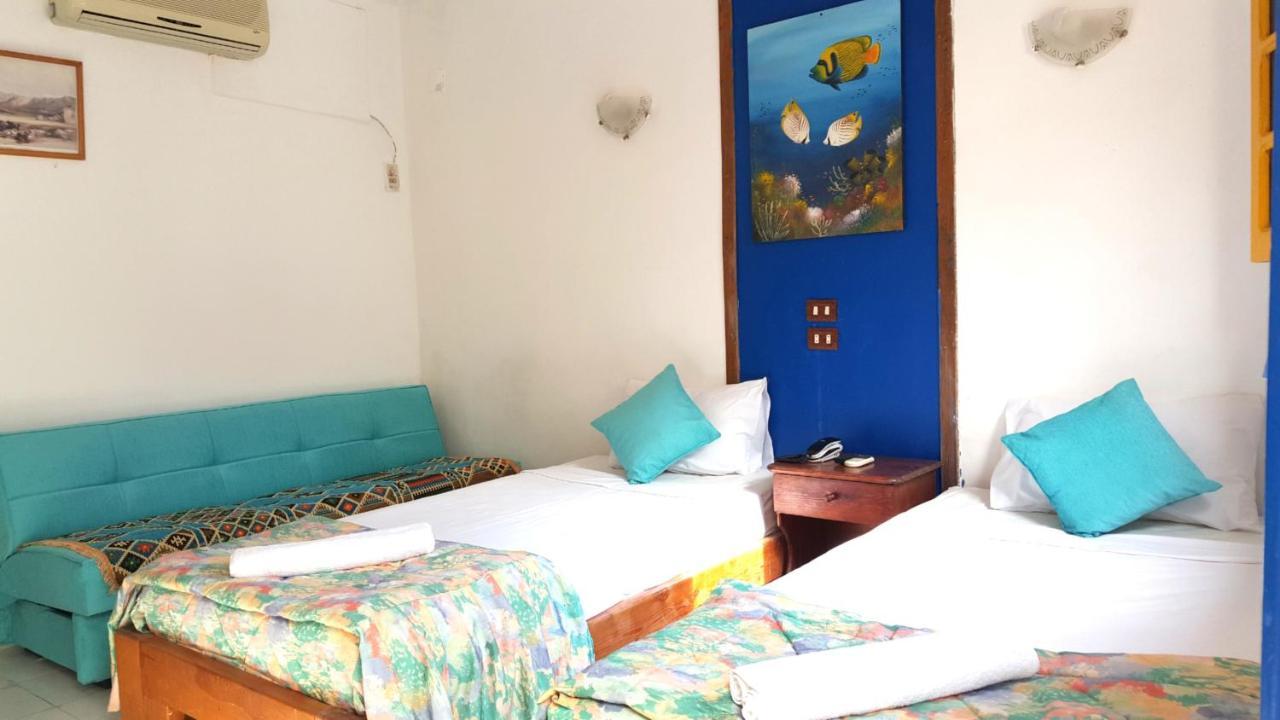 Auberge de jeunesse Neptune Dahab